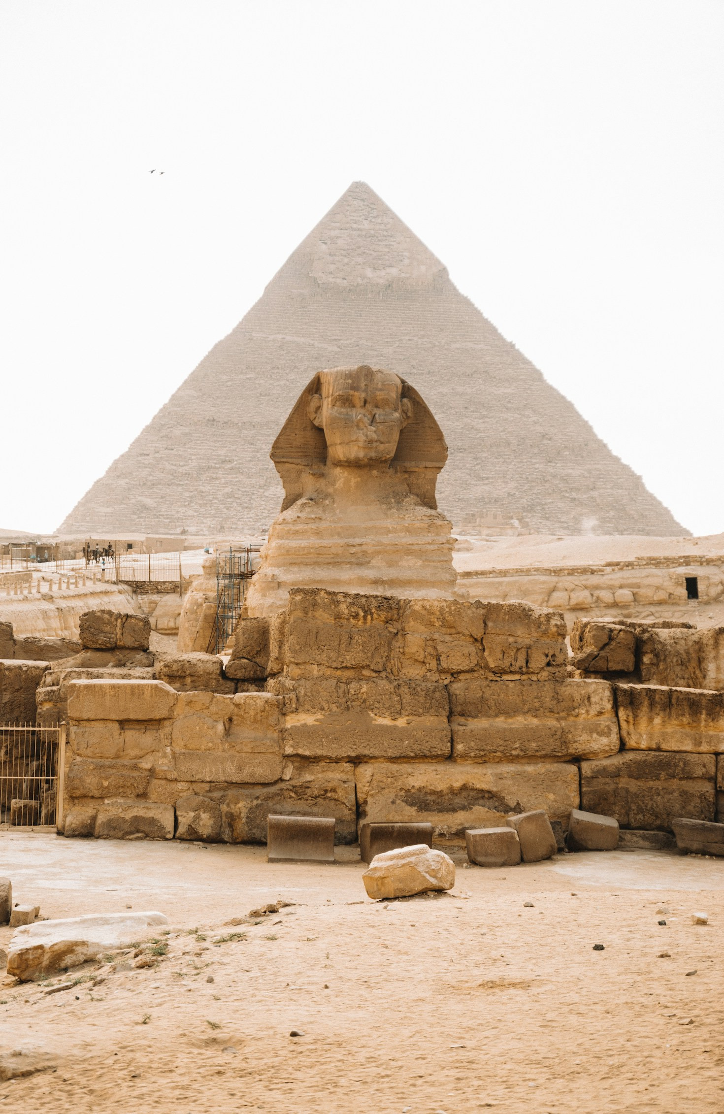 Cultural Milestones Across Egypt and the Gulf